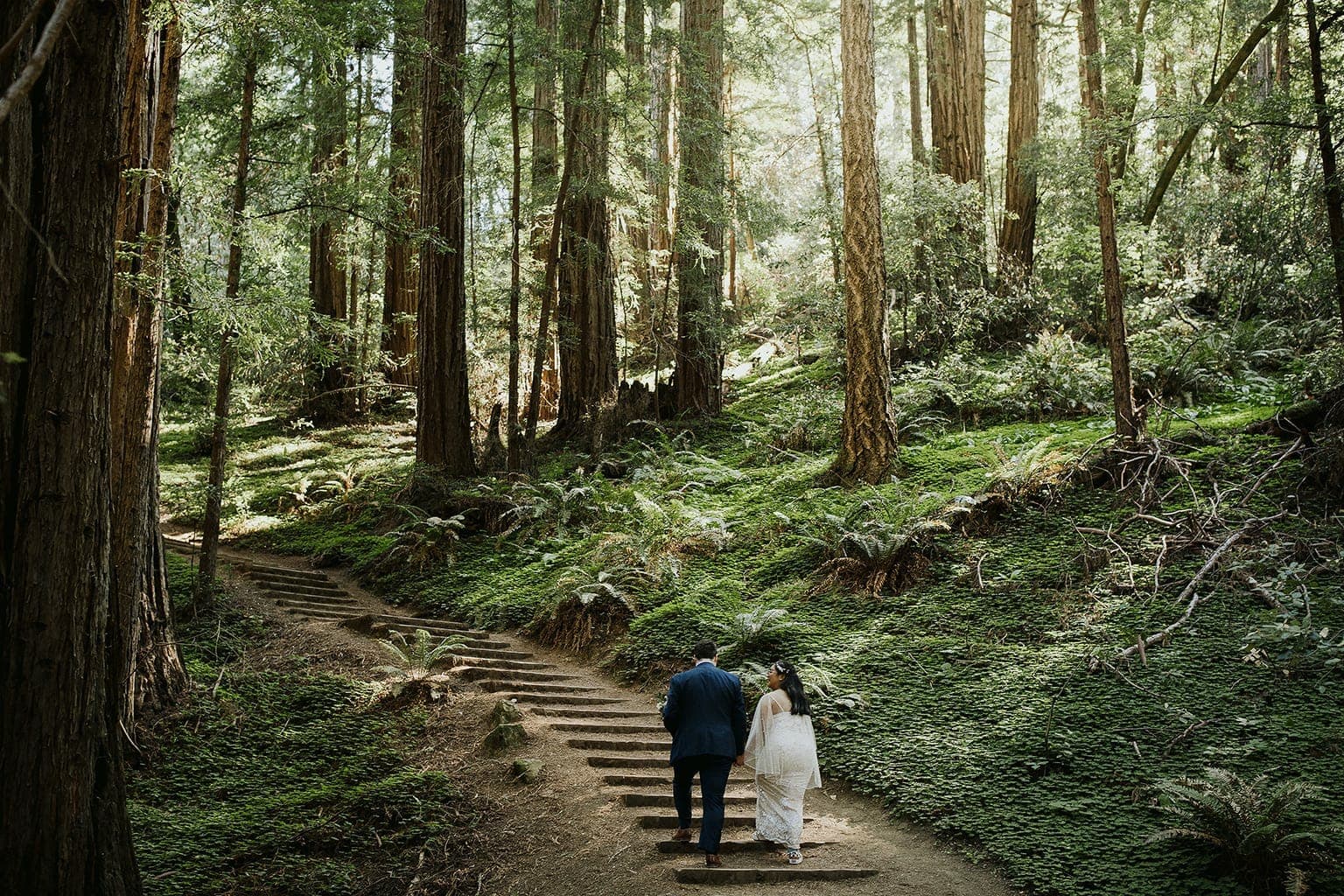 best places to elope in california muir woods 11
