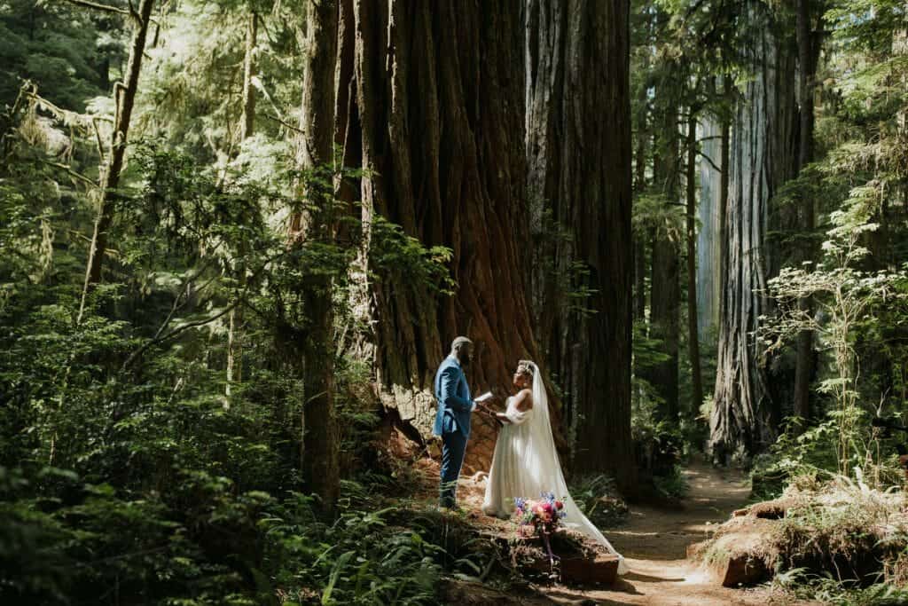 Redwoods elopement brookings oregon 837