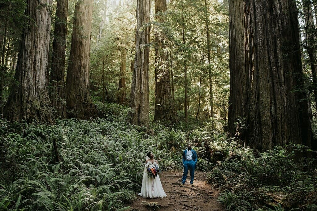 how to elope in california 9