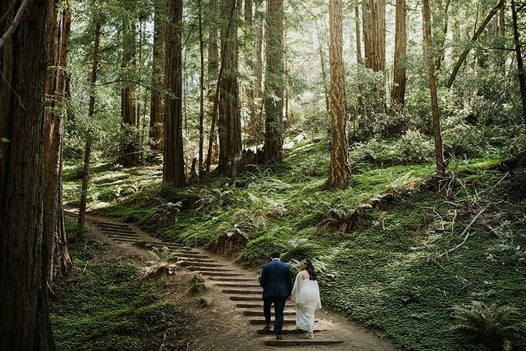 how to elope in california muir woods