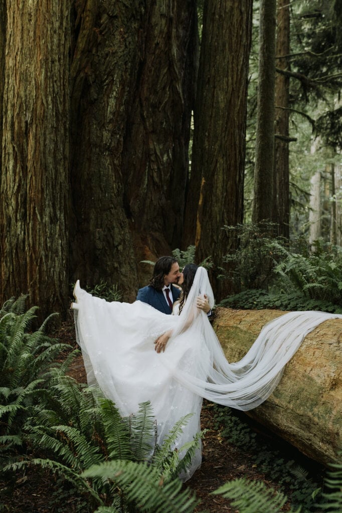 redwoods elopement guide redwoods elopement photographer julia mina