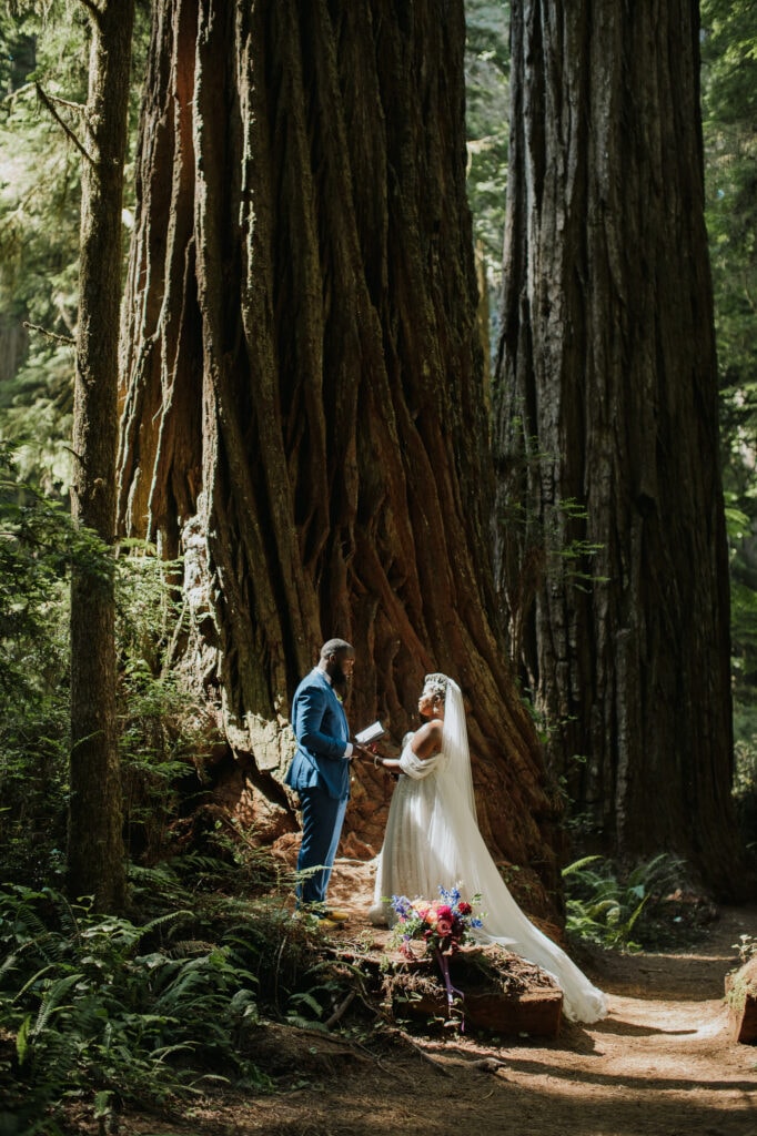 redwoods elopement guide redwoods elopement photographer julia mina ceremony