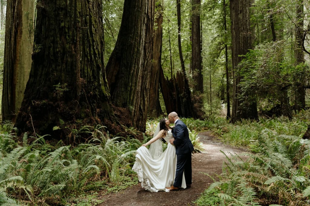 julia mina photography contact banner