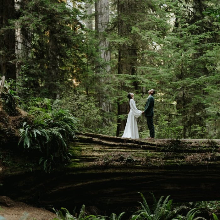 Bride and groom standing on a log in the California redwoods for their magical elopement