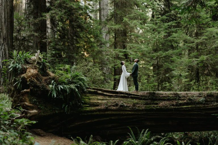 Bride and groom standing on a log in the California redwoods for their magical elopement