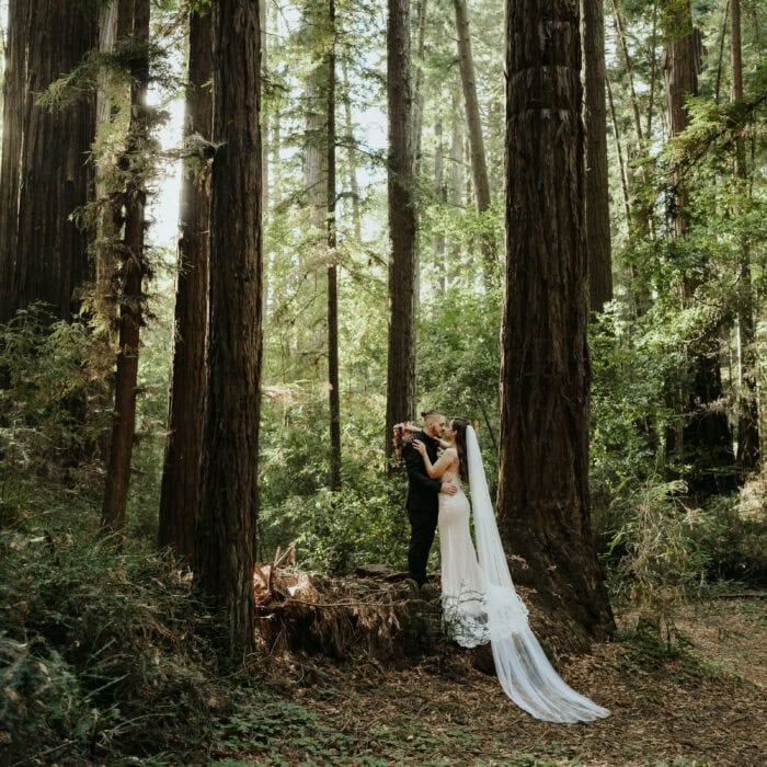 Bride and grooms Santa Cruz Elopement portraits Henry Cowell Redwood State Park