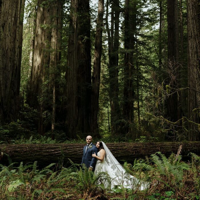 Prairie Creek Redwood Forest Elopement Portraits Julia Mina Photography California Elopement Photographer (11)