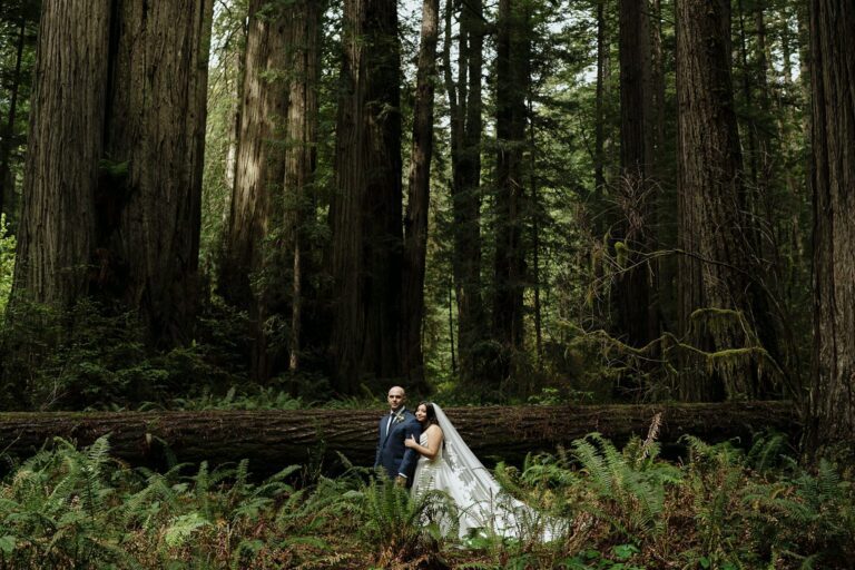 Prairie Creek Redwood Forest Elopement Portraits Julia Mina Photography California Elopement Photographer (11)